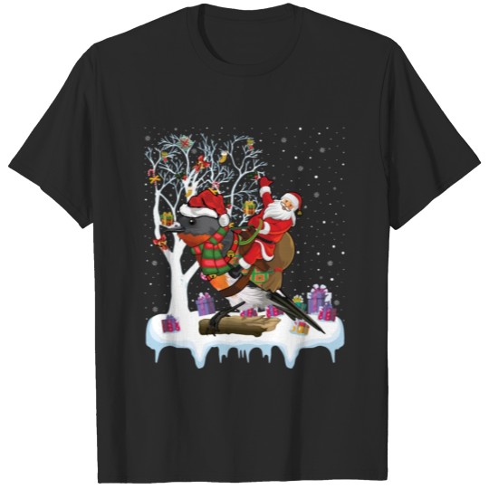Robin Bird Lover Xmas Gift Santa Riding Robin Chri T-shirt