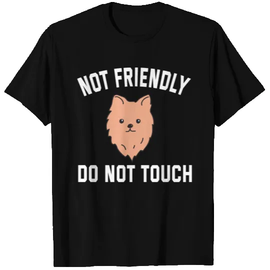 Not Friendly Do Not Touch T-shirt