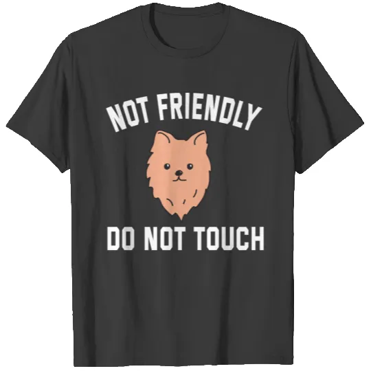 Not Friendly Do Not Touch T-shirt