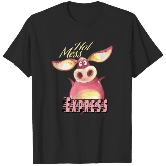 Discover Hot Mess Express Funny Sayings T-shirt