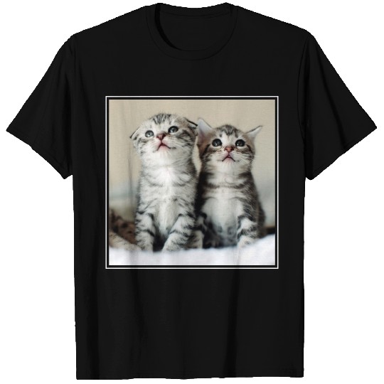 Two Cute Kittens T-shirt