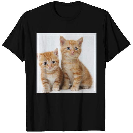 Two Adorable Kittens T-shirt