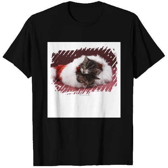Kittens asleep together in Christmas hat T-shirt