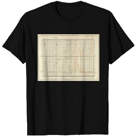 Silver, gold, minor coinage T-shirt