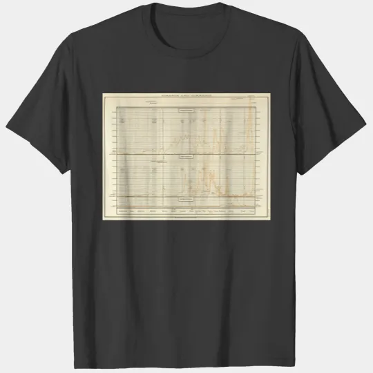 Silver, gold, minor coinage T-shirt