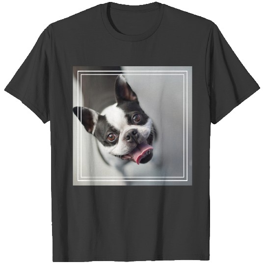 Getty Images | French Bulldog T-shirt