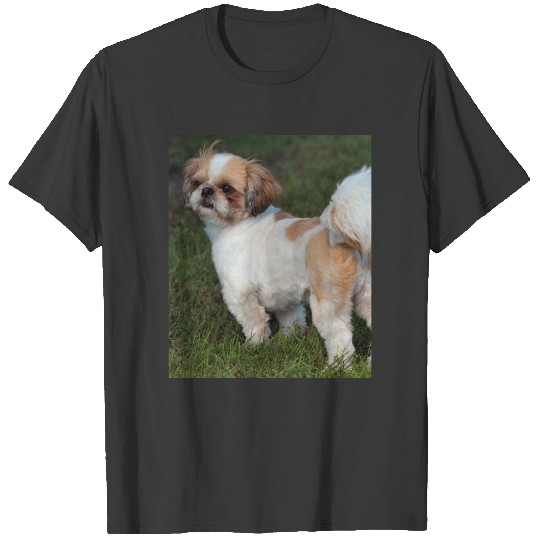Cutest Shih Tzu T-shirt
