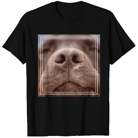 Chocolate Labrador Nose Closeup T-shirt