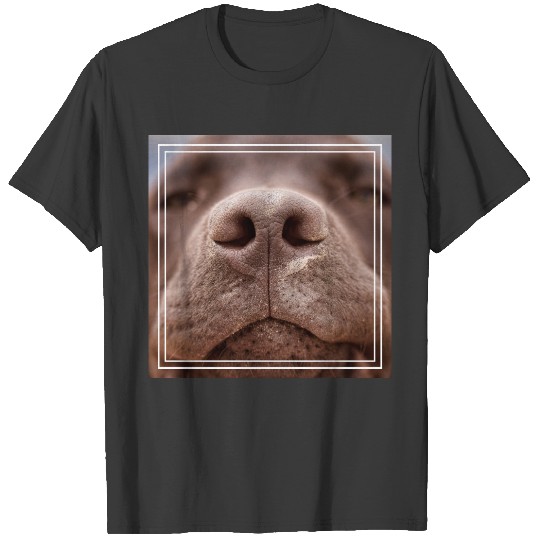 Chocolate Labrador Nose Closeup T-shirt