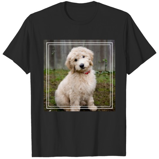 Discover Goldendoodle Puppy Sits In Grass T-shirt
