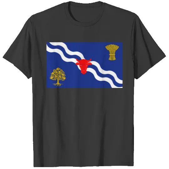 Oxfordshire flag oxford england province symbol polo T-shirt