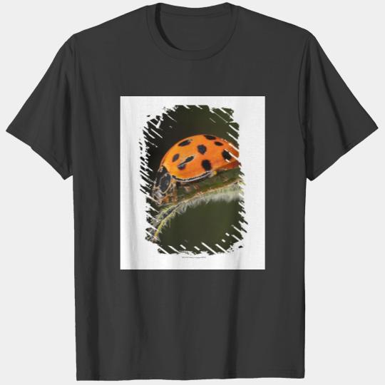 Ladybird on leaf,Ladybug on leaf T-shirt