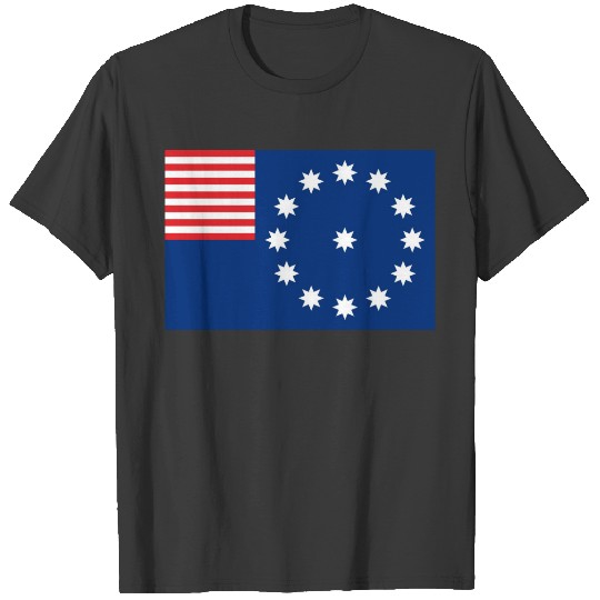Easton city flag state america Pennsylvania T-shirt
