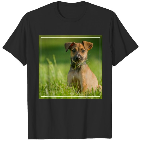 Discover Puppy In The Grass T-shirt