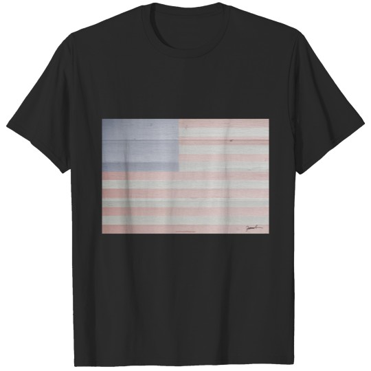 Discover flag polo T-shirt