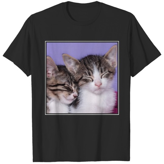 Two Cute Kittens Napping T-shirt