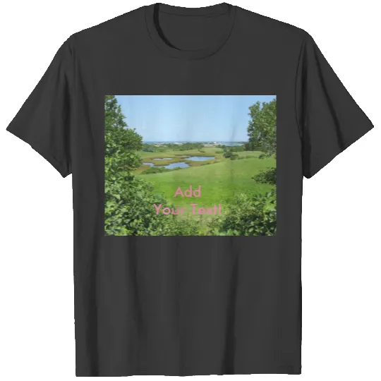 Block Island Champlin Road Meadow T-shirt