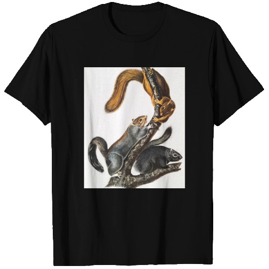 Cat Squirrel (Sciurus cinereus) Illustration T-shirt