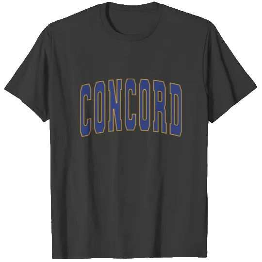 Concord NH Vintage Varsity College Style Sweatshir Sweat T-shirt