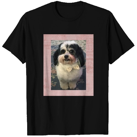 Zuchon Dog K-Cee Dusty Rose Gold Bow T-shirt