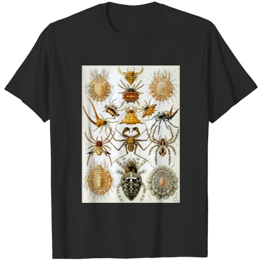 Discover Ernst Haeckel's Arachnida Spiders T-shirt