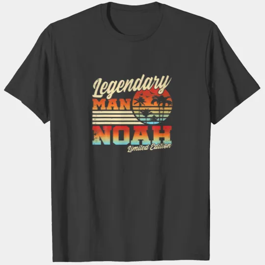 Noah First Name I Pride Vintage I Noah T-shirt