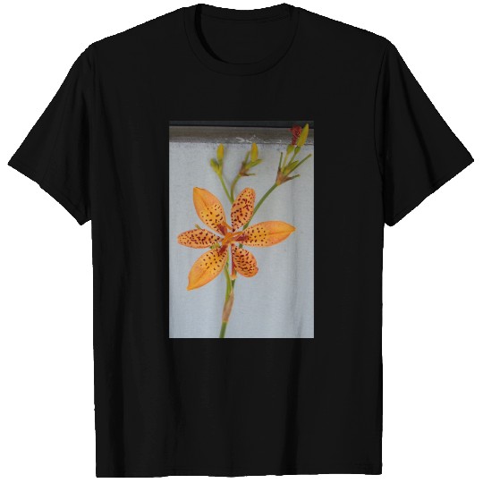 Orange spotted Iris called a  Blackberry lily T-shirt