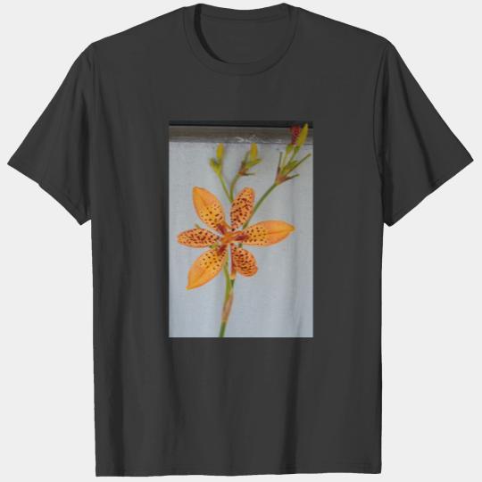 Orange spotted Iris called a  Blackberry lily T-shirt