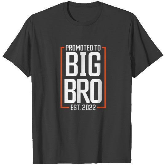 Promoted To Big Brother 2022 Big Bro Soon To Be Bi T-shirt