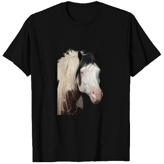 Shaman the Legend Long-sleeve T-shirt