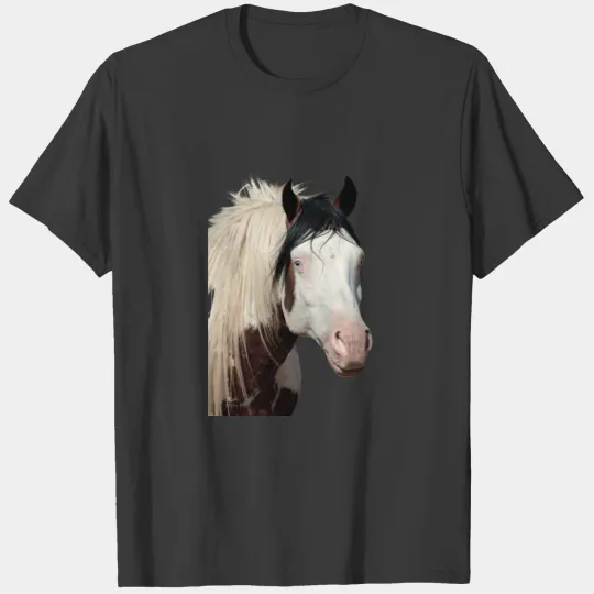 Shaman the Legend Long-sleeve T-shirt