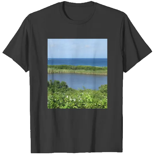 Block Island Pond 1 T-shirt