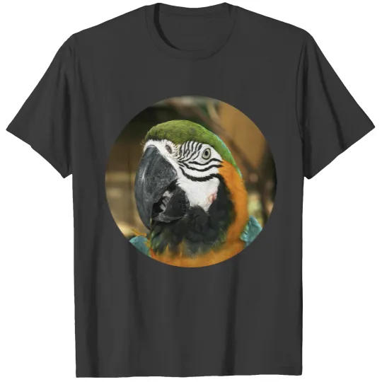 Blue and Yellow Macaw from Amazon T-shirt