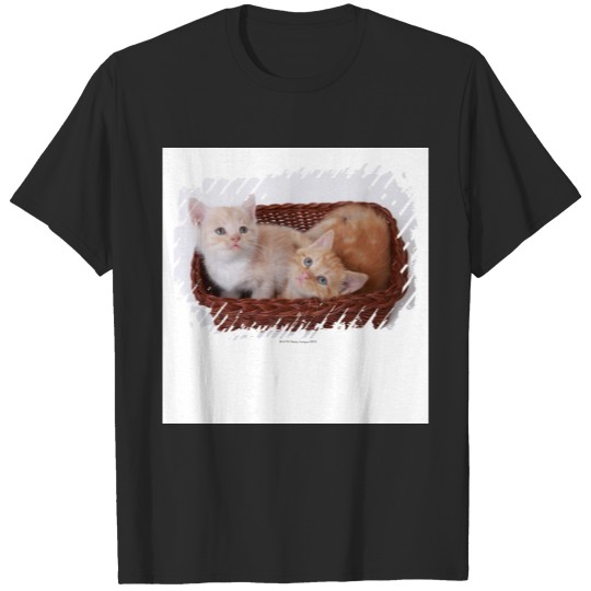 Kittens in basket T-shirt