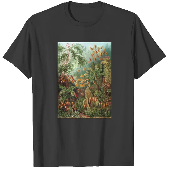 Vintage Moss Plants by Ernst Haeckel, Muscinae T-shirt