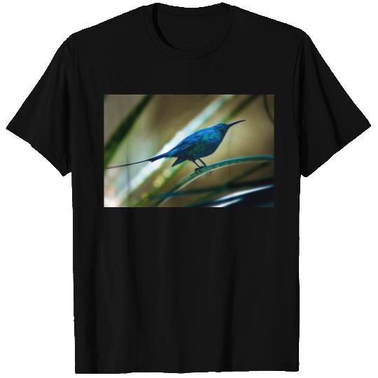 Malachite Sunbird Perched Closeup T-shirt