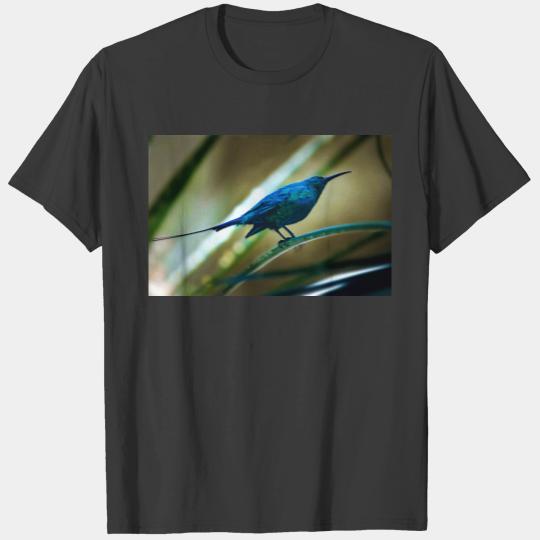 Malachite Sunbird Perched Closeup T-shirt