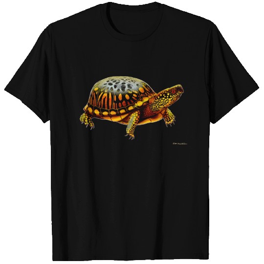 Eastern Box Turtle Ladies Babydoll T-shirt