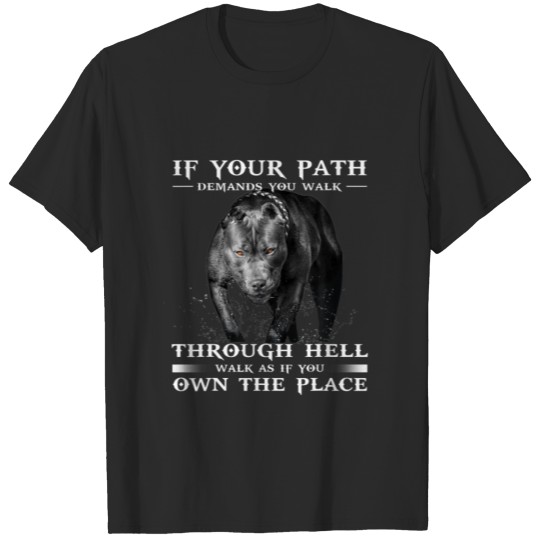 Discover If Your Path Demands You Walk Through Hell Cool Pi T-shirt