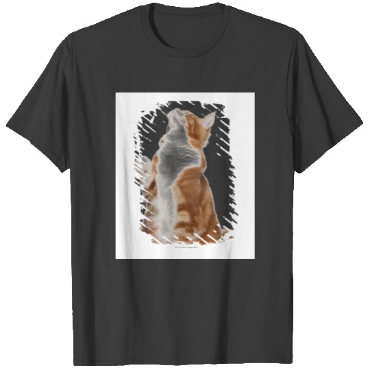 Maine Coon (6 months old) sitting and looking up T-shirt