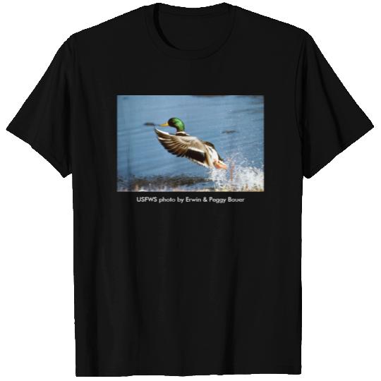 Men's T / Mallard Duck T-shirt