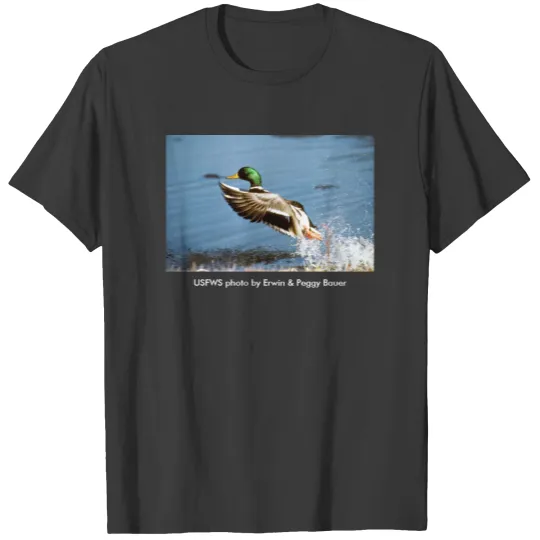 Men's T / Mallard Duck T-shirt