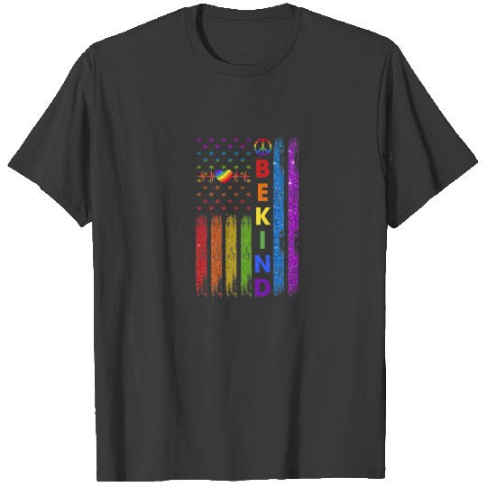 Vintage Be Kind LGBTQ Gay Pride Month Rainbow Amer T-shirt
