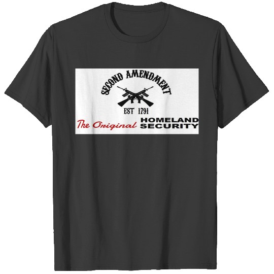 PRO GUN: ORIGINAL HOMELAND SECURITY 2nd AMENDMENT T-shirt