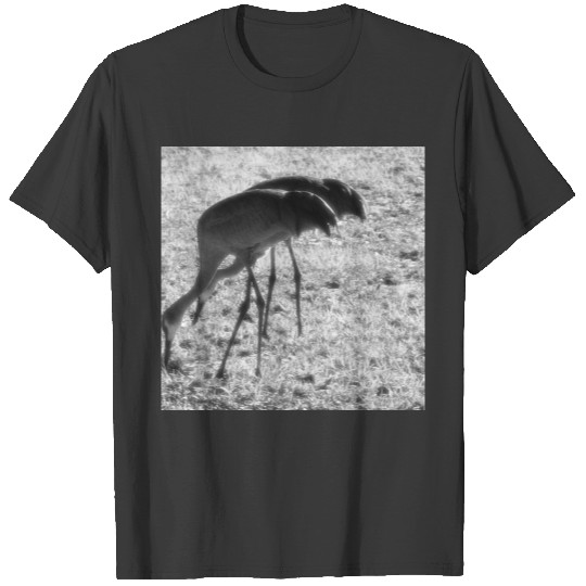 Sand Hill Cranes T-shirt