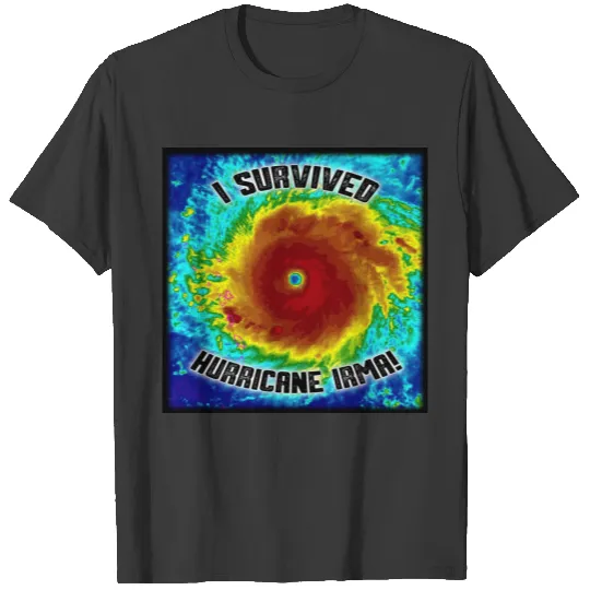 I Survived Hurricane Irma Tee T-shirt