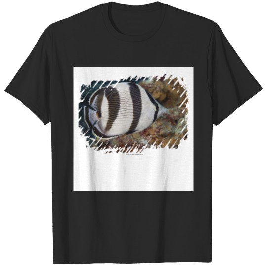 Discover Underwater Life; FISH:  A Banded Butterflyfish T-shirt