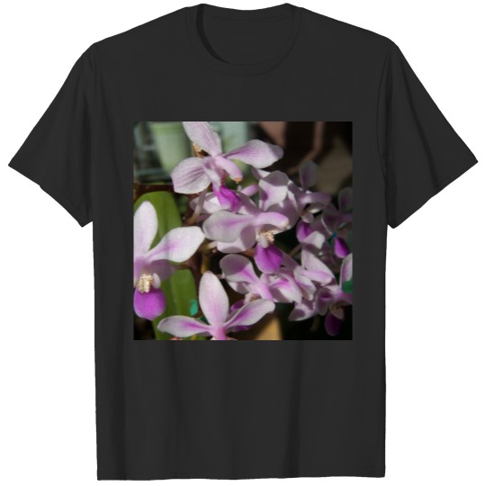 Discover miniature orchids T-shirt