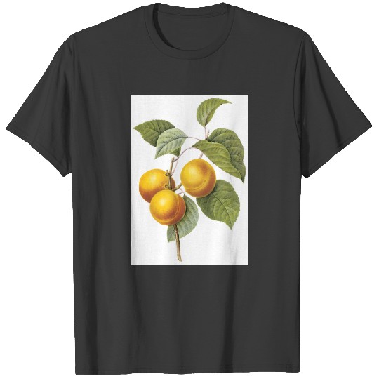 apricot-peach(Prunus sp.) by Redouté T-shirt