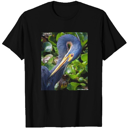 Curlicue Tri-Colored Heron T-shirt